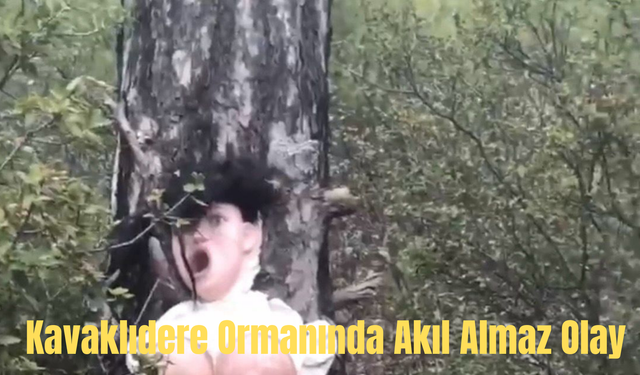 Kavaklıdere Ormanında Akılalmaz Olay