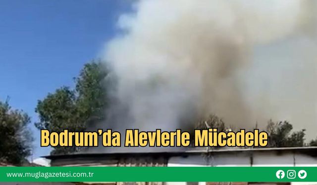 Bodrum’da Alevlerle Mücadele