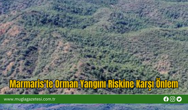 Marmaris'te Orman Yangını Riskine Karşı Önlem