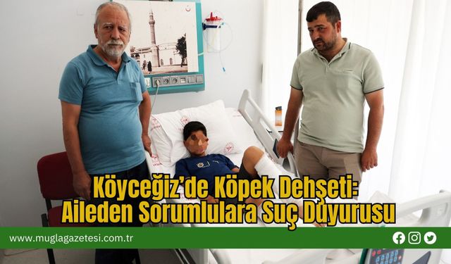Köyceğiz’de Köpek Dehşeti: Aileden Sorumlulara Suç Duyurusu