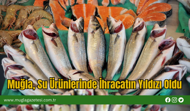Muğla, Su Ürünlerinde İhracatın Yıldızı Oldu