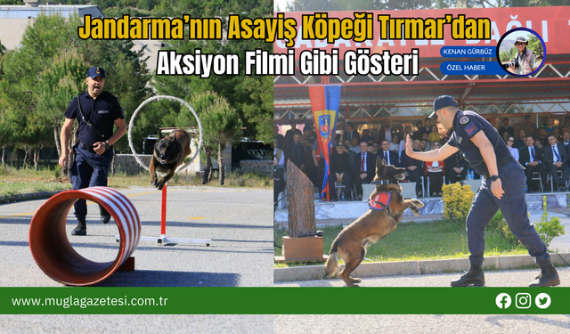 Jandarma’nın Asayiş Köpeği Tırmar’dan Aksiyon Filmi Gibi Gösteri