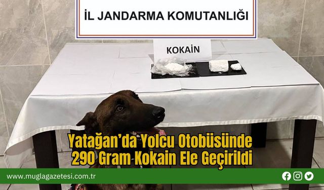 Yatağan’da Yolcu Otobüsünde 290 Gram Kokain Ele Geçirildi