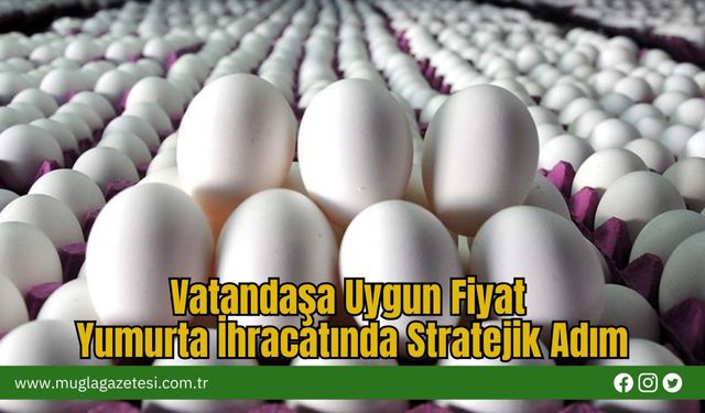 Vatandaşa Uygun Fiyat Yumurta İhracatında Stratejik Adım