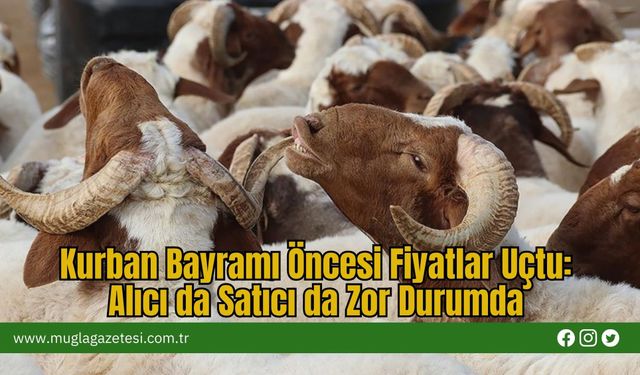 Kurban Bayramı Öncesi Fiyatlar Uçtu: Alıcı da Satıcı da Zor Durumda