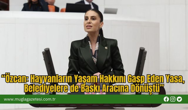 “Özcan: Hayvanların Yaşam Hakkını Gasp Eden Yasa, Belediyelere de Baskı Aracına Dönüştü”