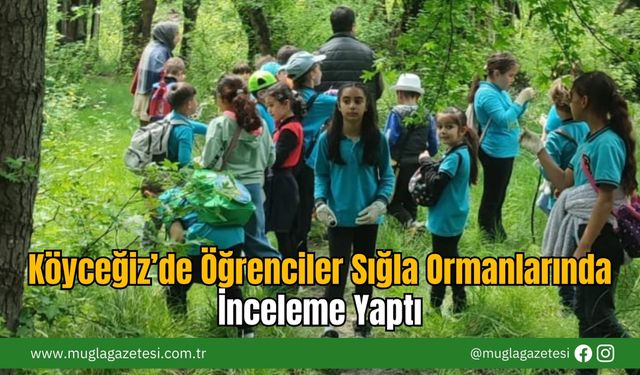 Köyceğiz’de Öğrenciler Sığla Ormanlarında İnceleme Yaptı