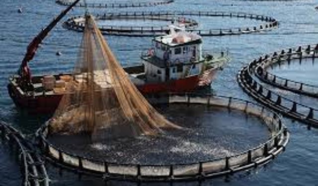 Bodrum’un Koylarındaki Balık Çiftliklerine Tepki