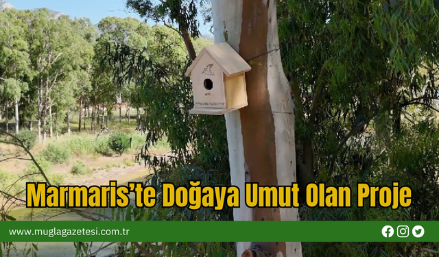 Marmaris’te Doğaya Umut Olan Proje