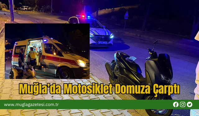 Muğla’da Motosiklet Domuza Çarptı