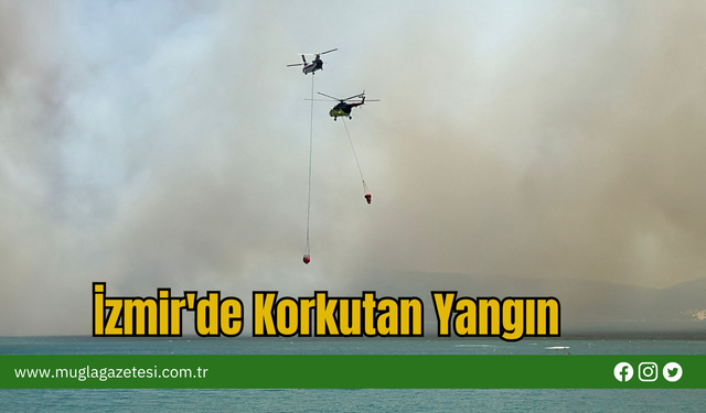 İzmir'de Korkutan Yangın