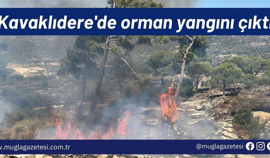 Kavaklıdere'de orman yangını çıktı