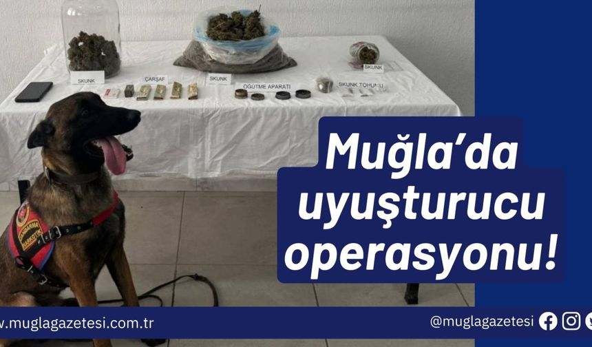 Muğla’da uyuşturucu operasyonu!