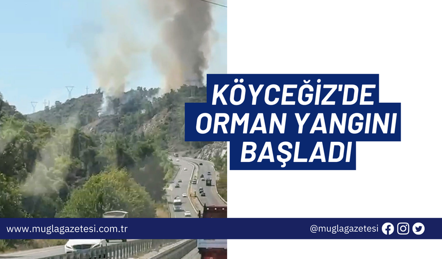 KÖYCEĞİZ'DE ORMAN YANGINI BAŞLADI