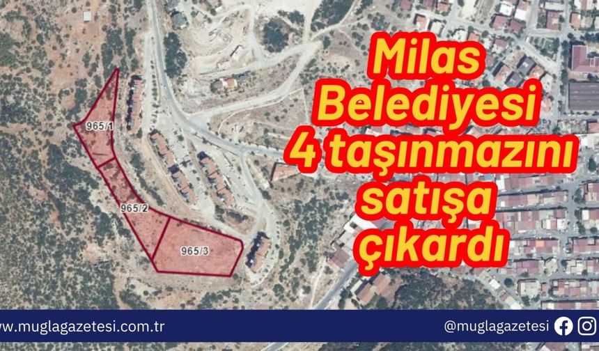 Milas Belediyesi 4 taşınmazını satışa çıkardı