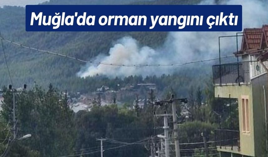 Muğla'da orman yangını çıktı