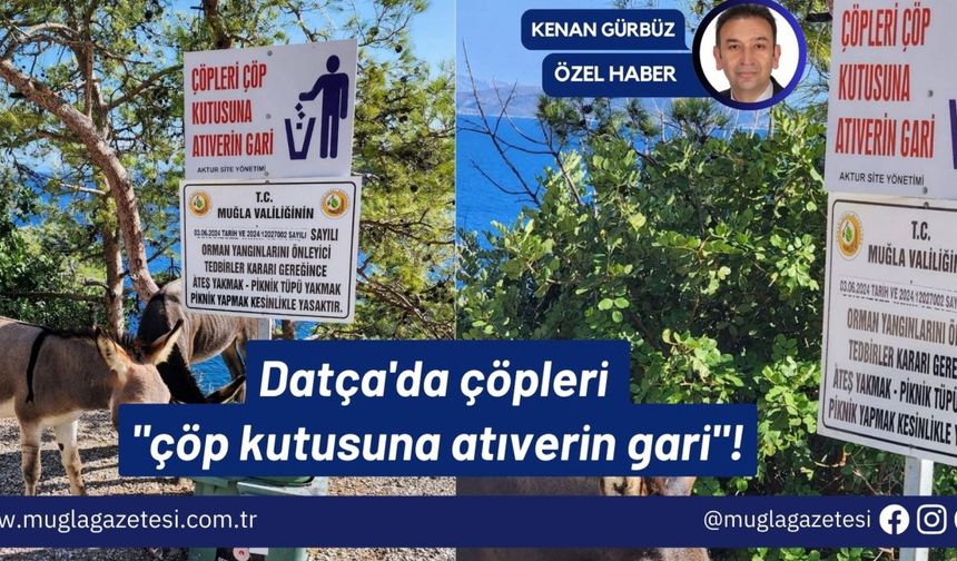 Datça'da çöpleri "çöp kutusuna atıverin gari"!