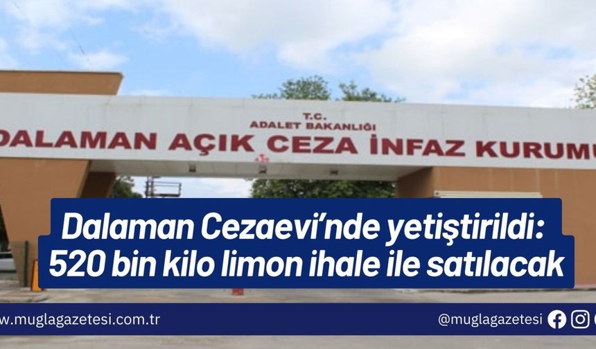 Dalaman Cezaevi’nde yetiştirildi: 520 bin kilo limon ihale ile satılacak