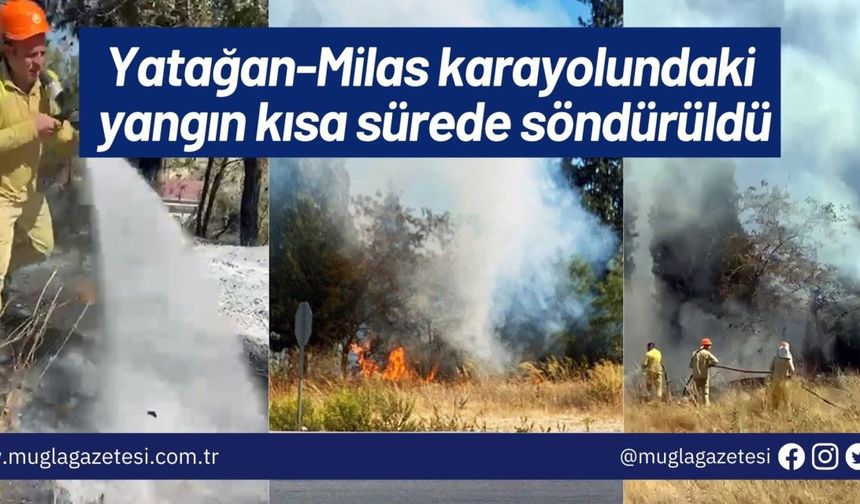 Yatağan-Milas karayolundaki yangın kısa sürede söndürüldü