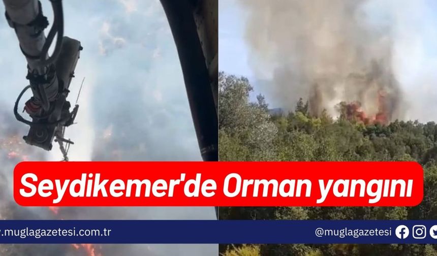 Seydikemer'de Orman yangını