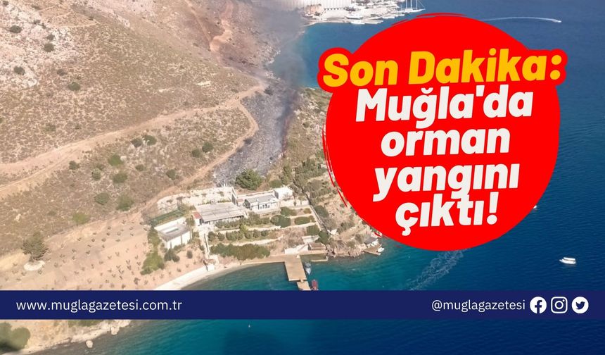 Son Dakika: Muğla'da orman yangını çıktı!