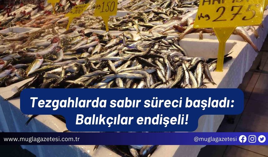 Tezgahlarda sabır süreci başladı: Balıkçılar endişeli!