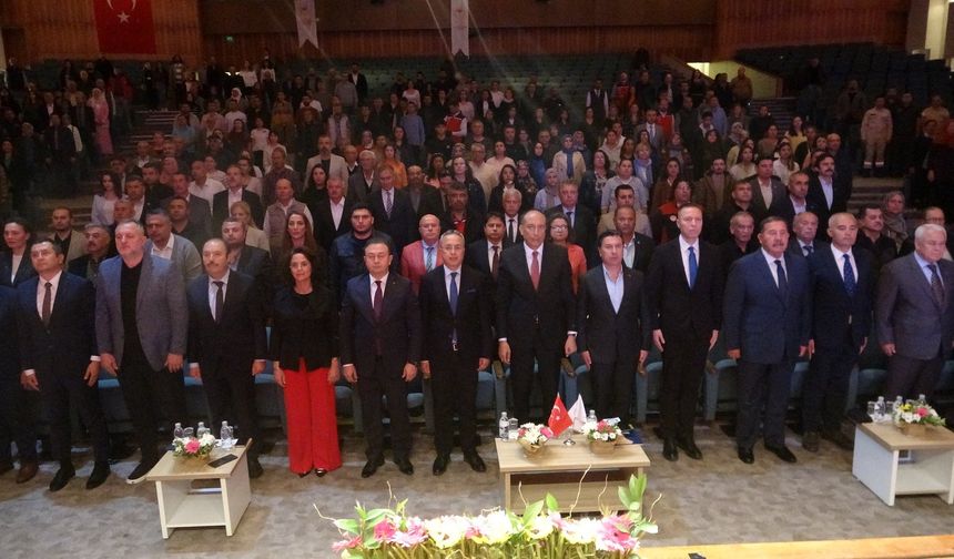 Muğla’da Zeytinyağı Kalitesine Ödül Yağmuru