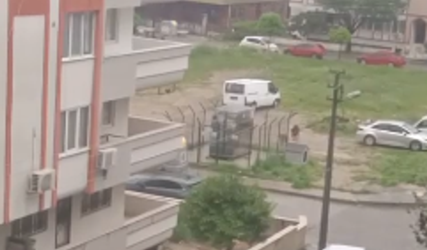 Muğla’da Domuzun Köpeğe Saldırısı Kameraya Yansıdı