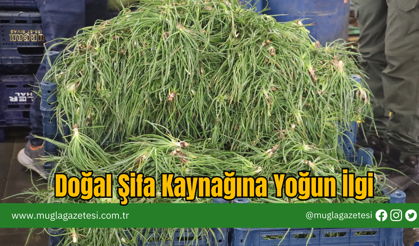 Doğal Şifa Kaynağına Yoğun İlgi