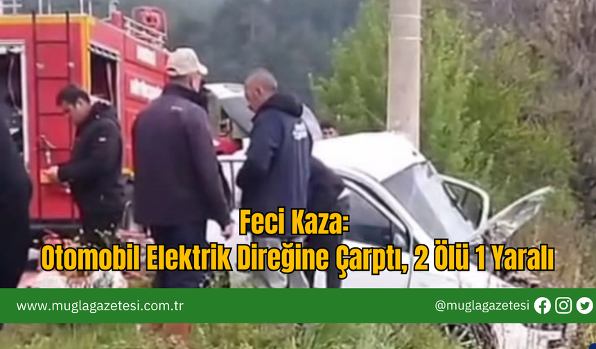 Feci Kaza: Otomobil Elektrik Direğine Çarptı, 2 Ölü 1 Yaralı