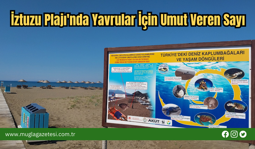 İztuzu Plajı'nda Yavrular İçin Umut Veren Sayı