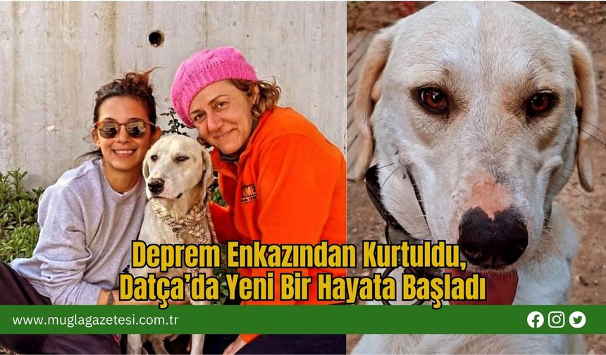 Deprem Enkazından Kurtuldu, Datça’da Yeni Bir Hayata Başladı