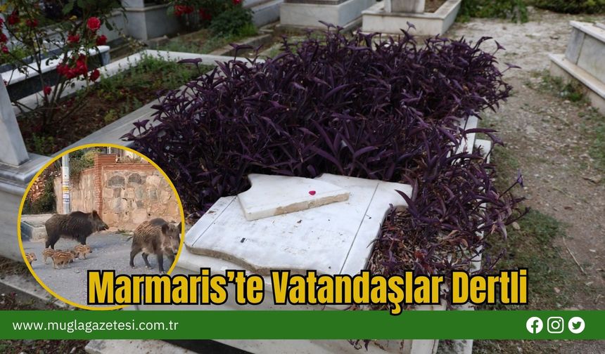 Marmaris’te Vatandaşlar Dertli