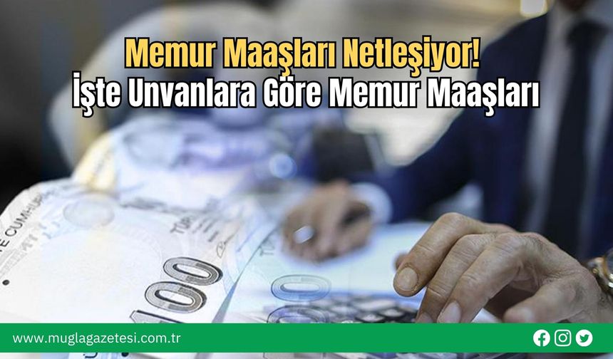 Memur Maaşları Netleşiyor! İşte Unvanlara Göre Memur Maaşları