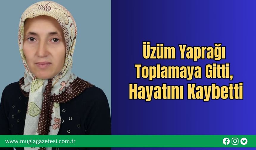 Üzüm Yaprağı Toplamaya Gitti, Hayatını Kaybetti