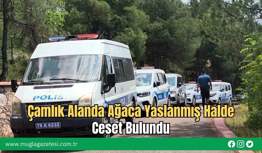 Çamlık Alanda Ağaca Yaslanmış Halde Ceset Bulundu