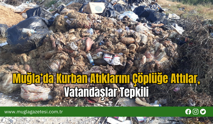 Muğla’da Kurban Atıklarını Çöplüğe Attılar, Vatandaşlar Tepkili