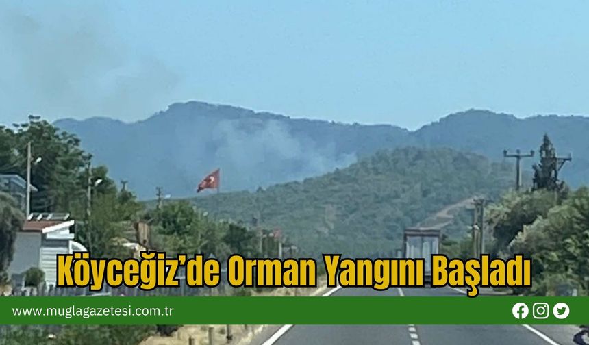 Köyceğiz’de Orman Yangını Başladı