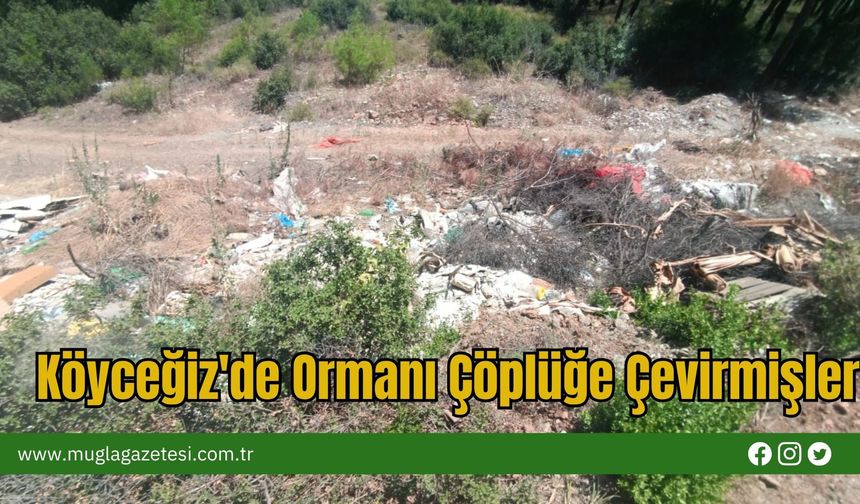 Köyceğiz'de Ormanı Çöplüğe Çevirmişler