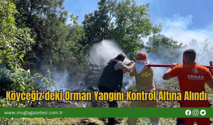 Köyceğiz'deki Orman Yangını Kontrol Altına Alındı
