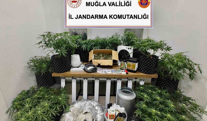Bodrum'da Jandarmadan Yasaklı Madde Operasyonu: 1 Tutuklama