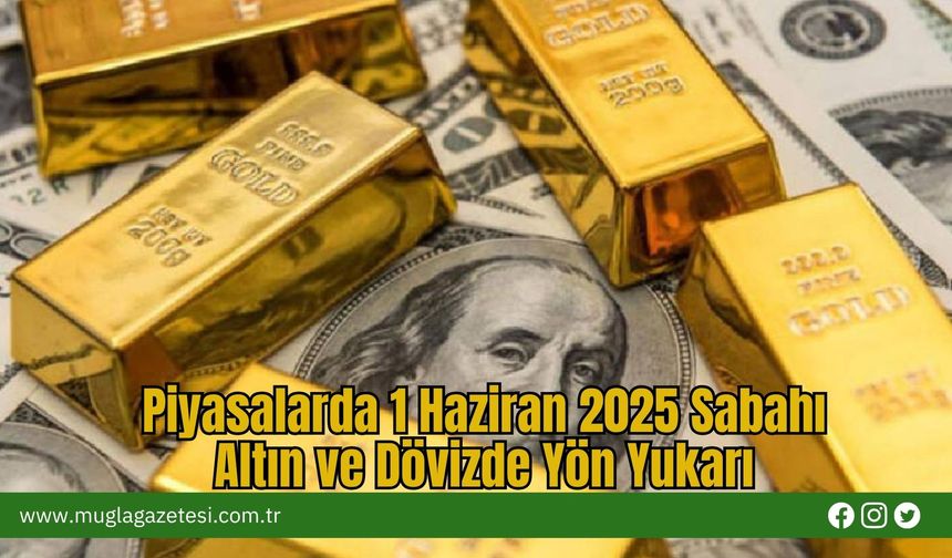 Piyasalarda 1 Haziran 2025 Sabahı: Altın ve Dövizde Yön Yukarı