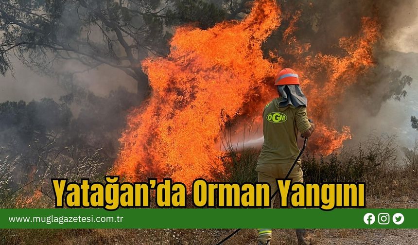 Yatağan’da Orman Yangını