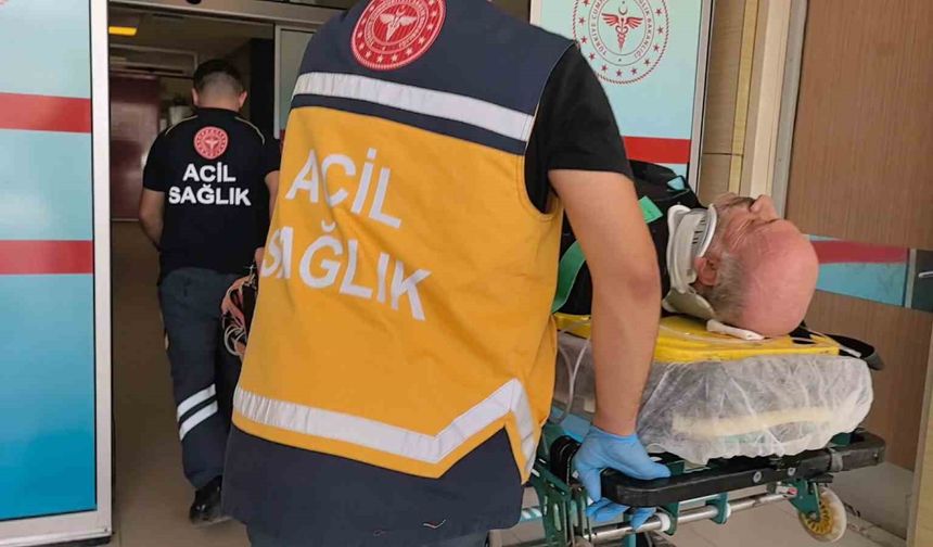 Kereste Deposunda Kaza: Düşen İşçi Hayatını Kaybetti